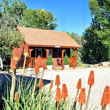 Vila Arrowhead Country Cabins Mount Carmel Exteriér fotografie