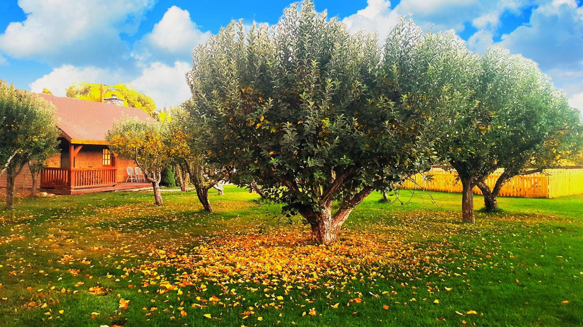 Vila Arrowhead Country Cabins Mount Carmel Exteriér fotografie